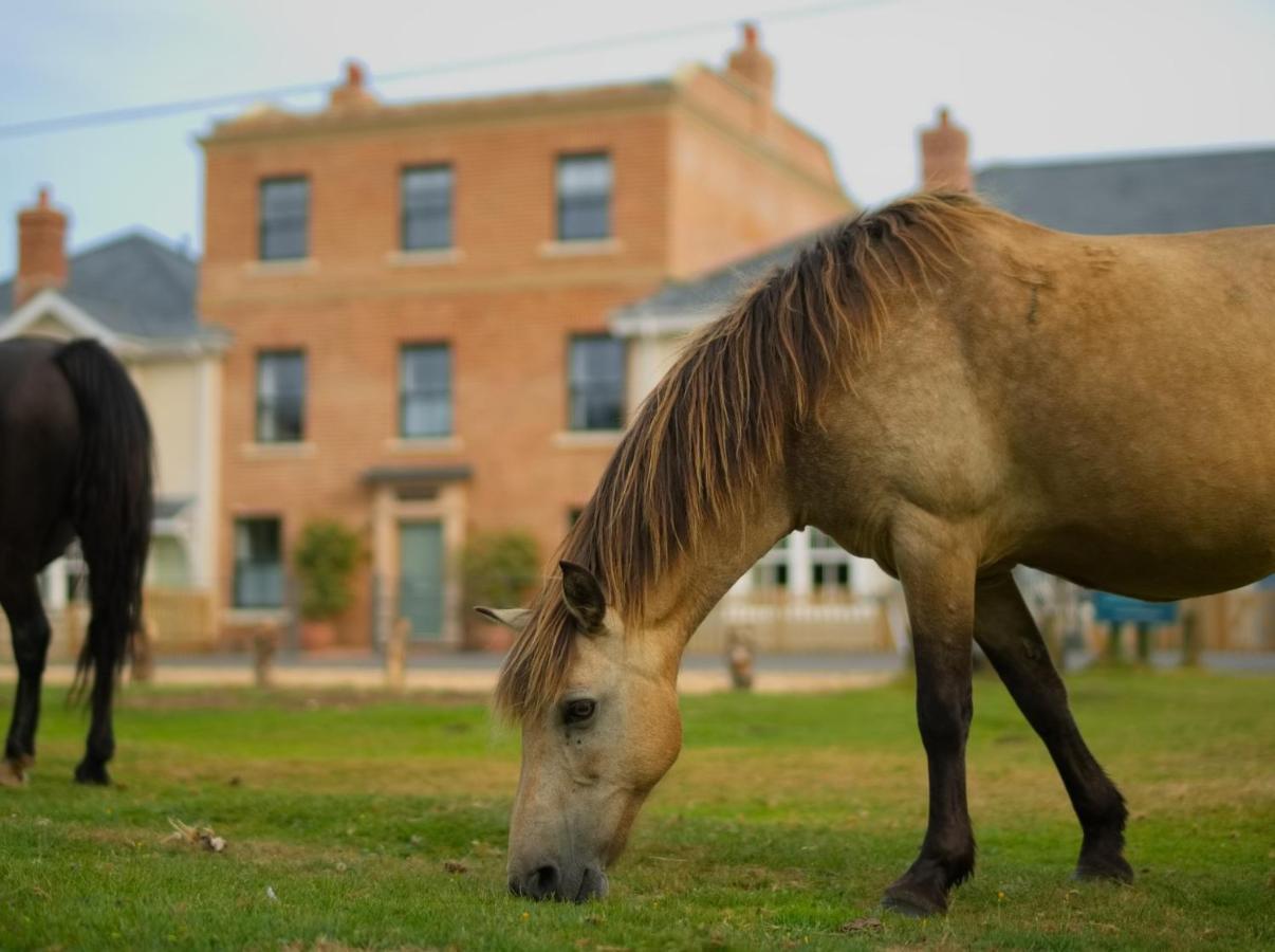 The Cloud Brockenhurst Bed & Breakfast ภายนอก รูปภาพ